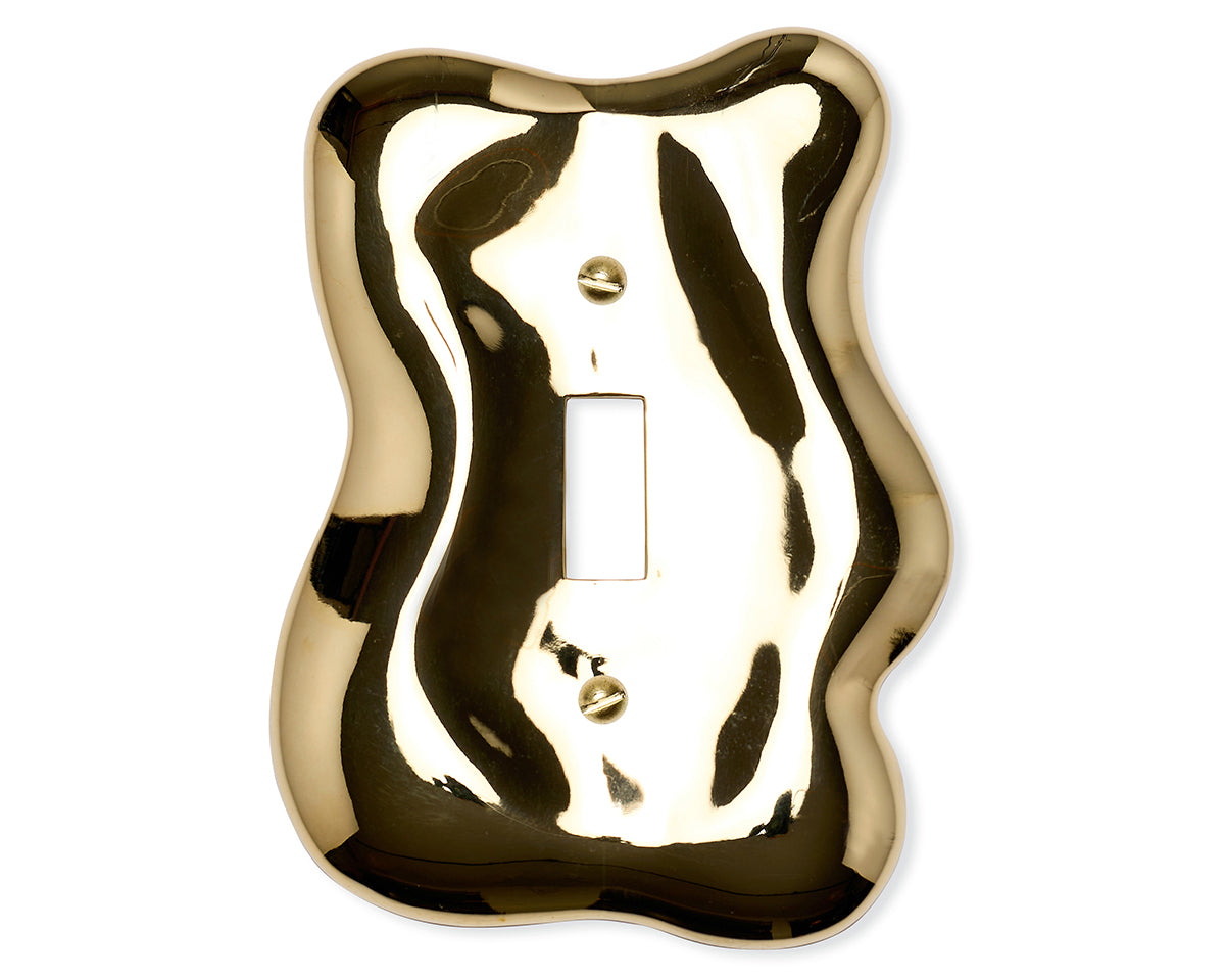Sculptural Light Switch Plate